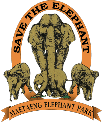 Chiang Mai Elephant Park & Clinic | Maetaeng Elephant Park Thailand